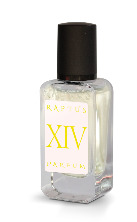 PROFUMO RAPTUS XIV